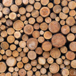 Timber Square